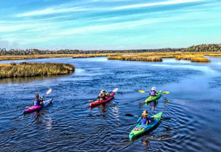 Guided Kayak Tour in Charleston tidal creeks