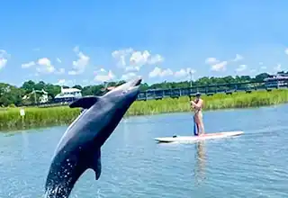 charleston paddleboard rentals
