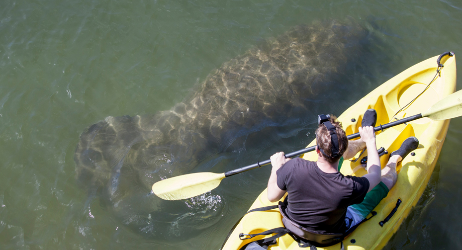 nature adventures concervation kayaking 02