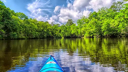 Edisto River