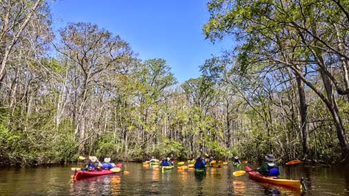 Wambaw Creek